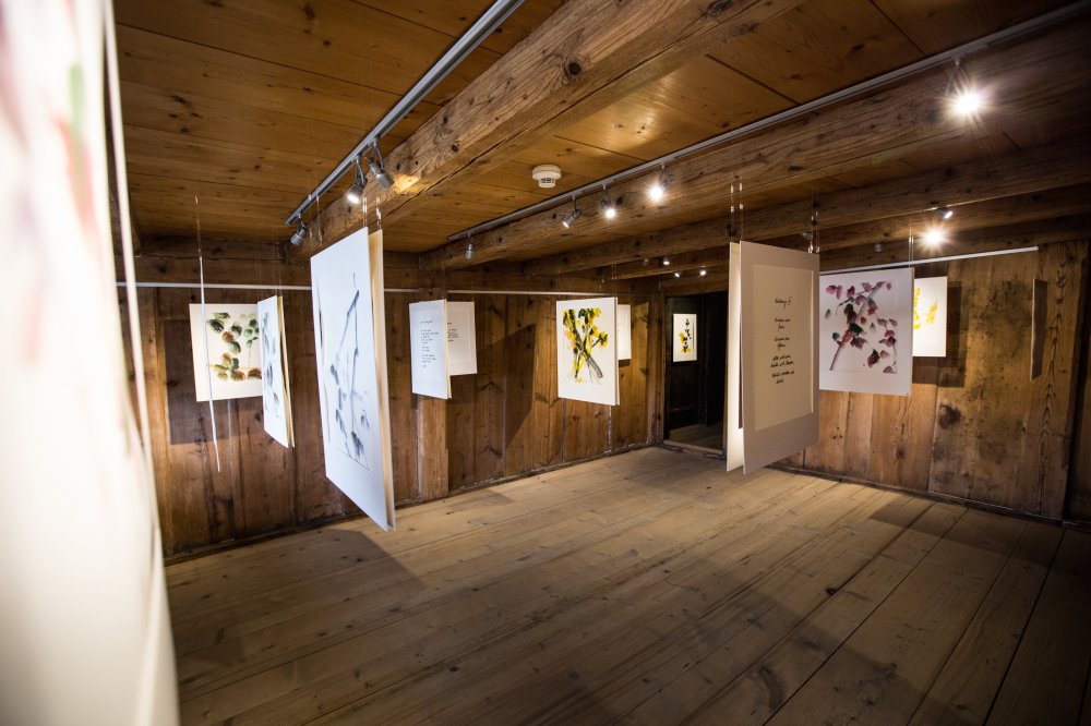 exposition Musée Singinois, Tavel, 2015