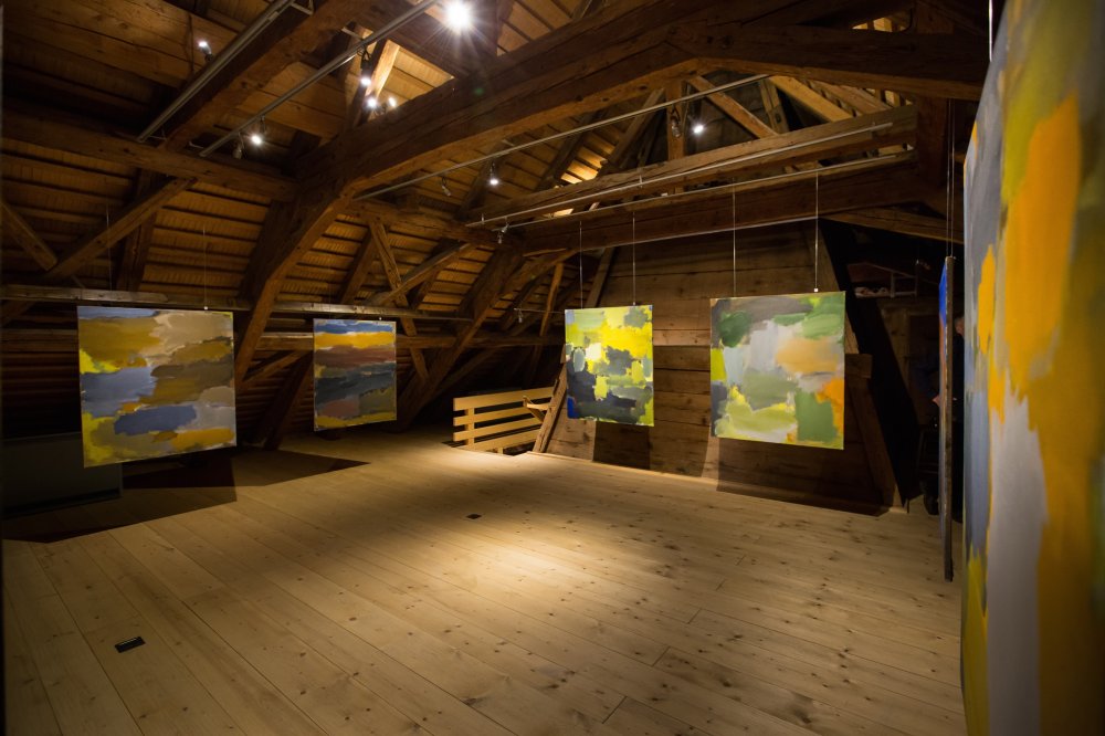 vue d'exposition au Musée Singinois, 2016