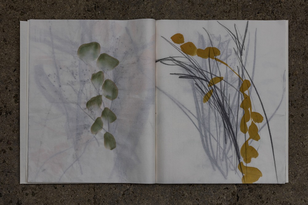 ssl100_ivo_hauterive-buch_1