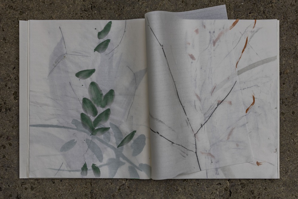 ssl100_ivo_hauterive-buch_3
