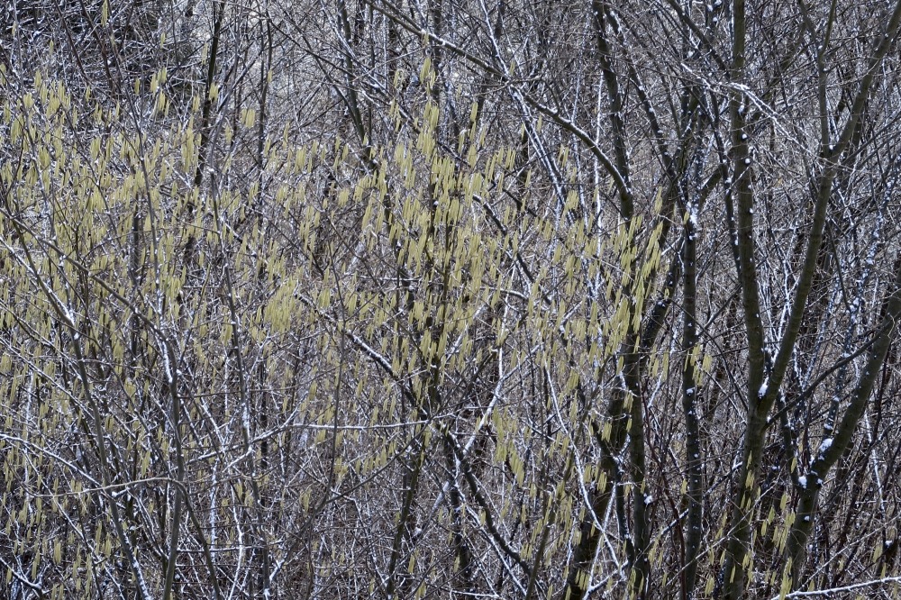 img_0113